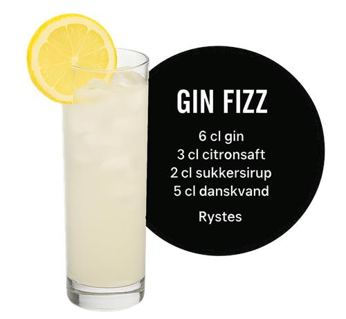 Forfriskende Gin Fizz Opskrift